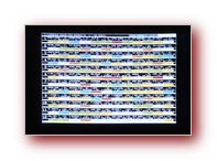 Click to Enlarge Image