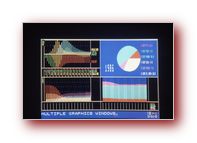 Click to Enlarge Image