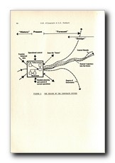 Click to enlarge image